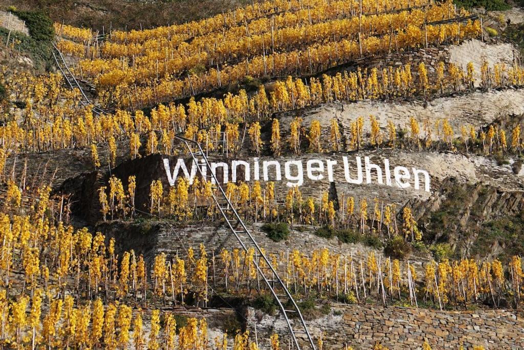 Ferienwohnung Sabine Jacoby Winningen Buitenkant foto